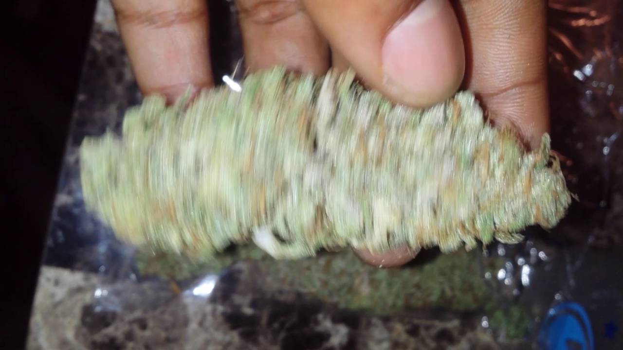 Jack Frost