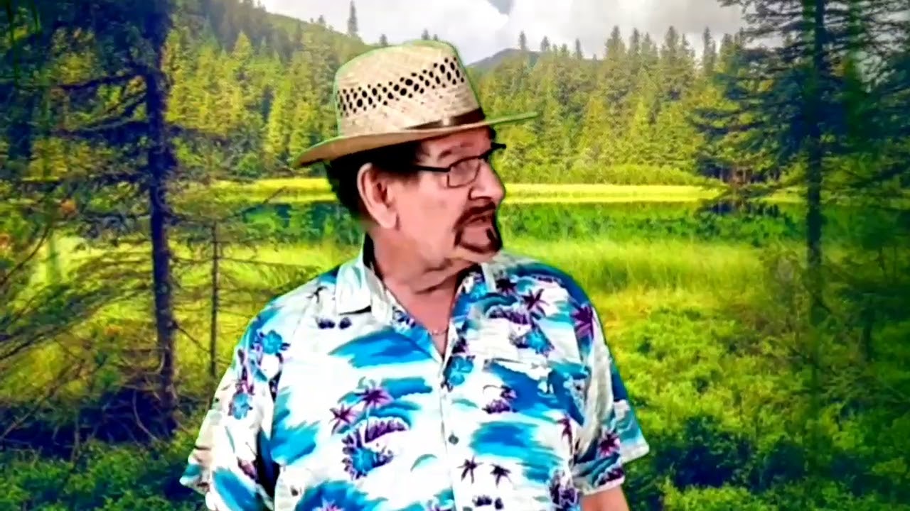 Sommarmusik Magnus Nordensved