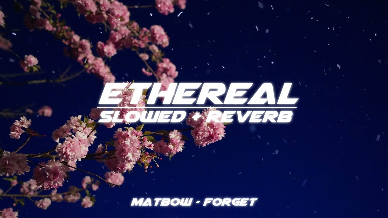 matbow - forget (slowed + reverb)