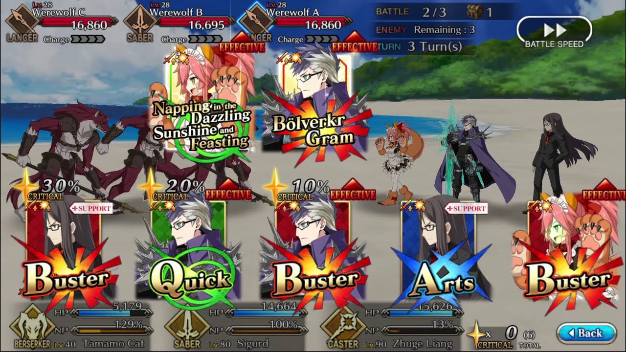 Fate/Grand Order - Tamamo Cat Interlude 1: Overflowing Wildness