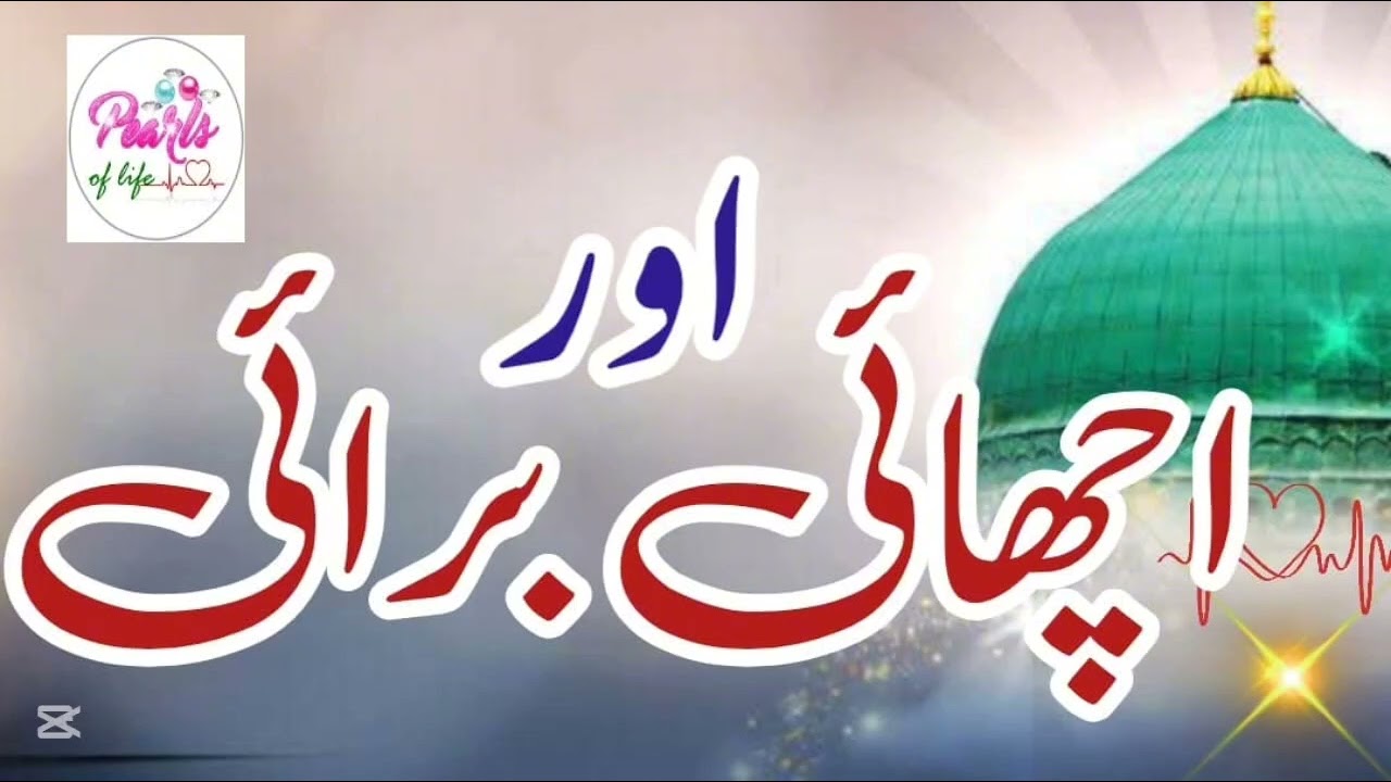 Moral Stories Series | Good and Bad | اچھائی اور برائی | #intellectual #intelligence #viralvideo 