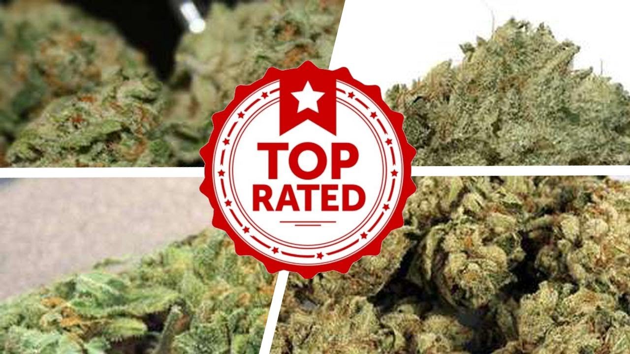 The Best Types Of Weed For Euphoria 💟