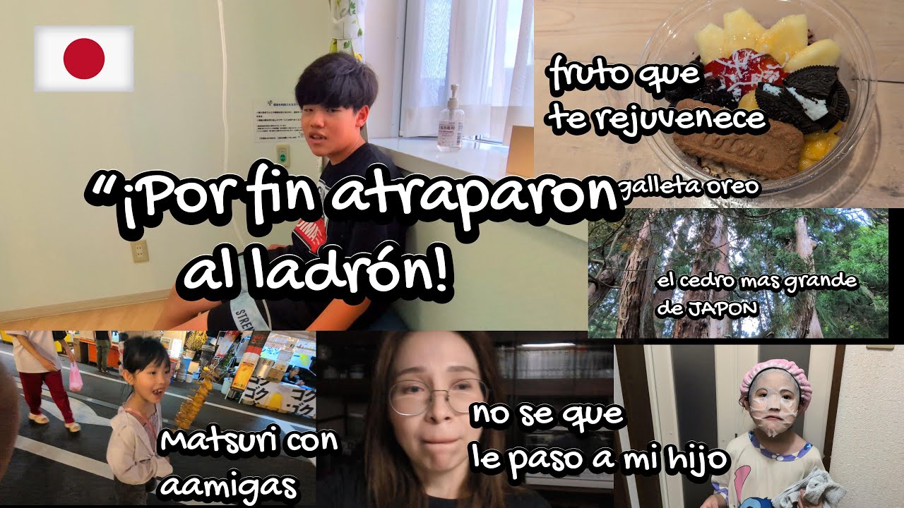 ¡Por fin atraparon al ladrón! + cedro milenario+ urticaria y matsurI