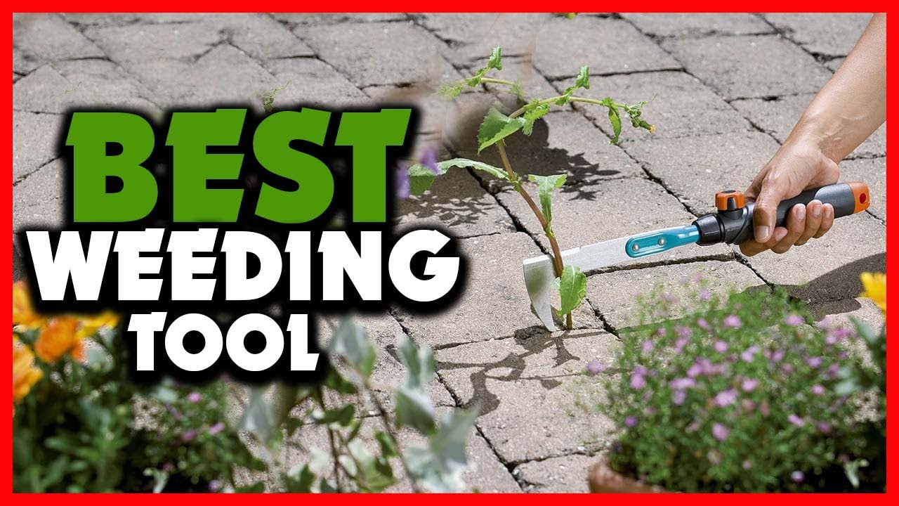✅Top 5 Best Weeding Tool in 2025