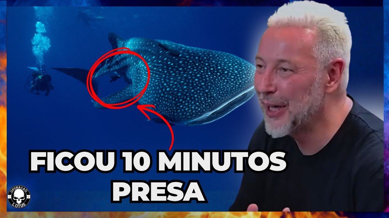 Perguntei qual foi o maior animal que ele encontrou no mar… Não esperava essa resposta