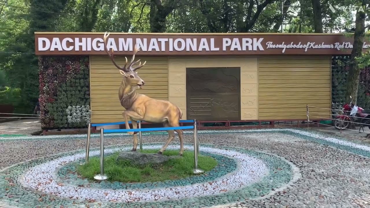 Dachigam National Park,Srinagar,Kashmir Bear,Leopard/Places to visit Srinagar#dachigam #kashmir