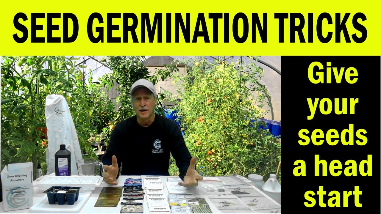 Seed Starting Tricks