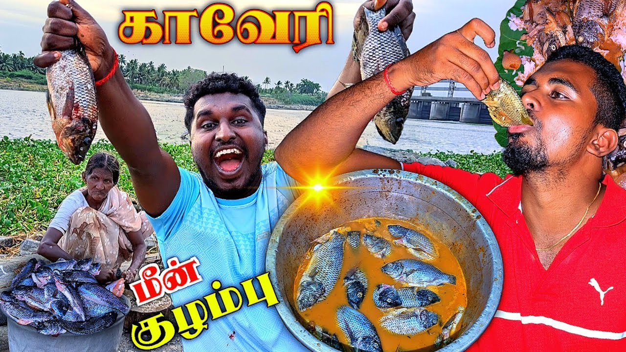 🔥காவேரி மீன் குழம்பு சமையல் | KAVERI FISH KULAMPU RECIPE IN TAMIL | FISHING | HOGENAKKAL | K7