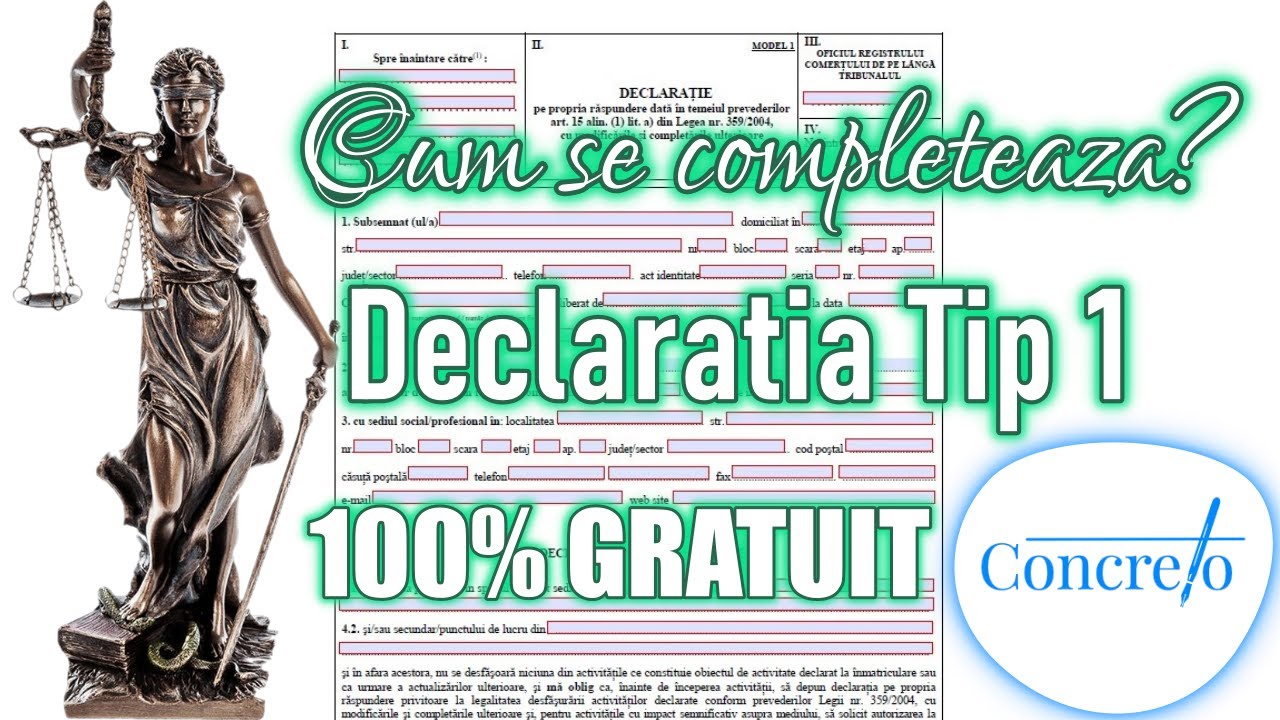 Cum se completeaza Declaratia Tip Model 1 | Tutorial Declaratie Tip Model 1