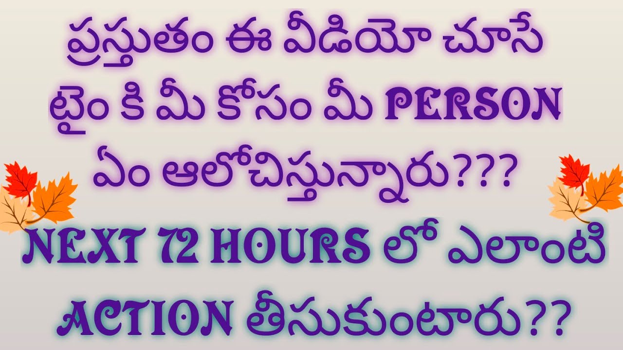 💌ప్రస్తుతం ఈ వీడియో చూసే టైం కి మీ PERSON మీ గురించి ఏం ఆలోచిస్తున్నారు?NEXT 72 HOURS లో ACTION??🖤