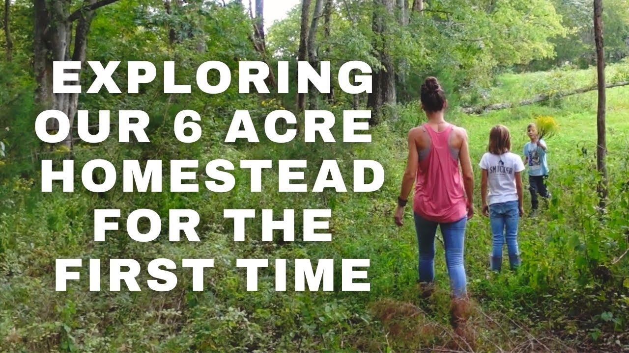From Suburbs to Self Sufficiency: Tour Our 6 Acre Homestead