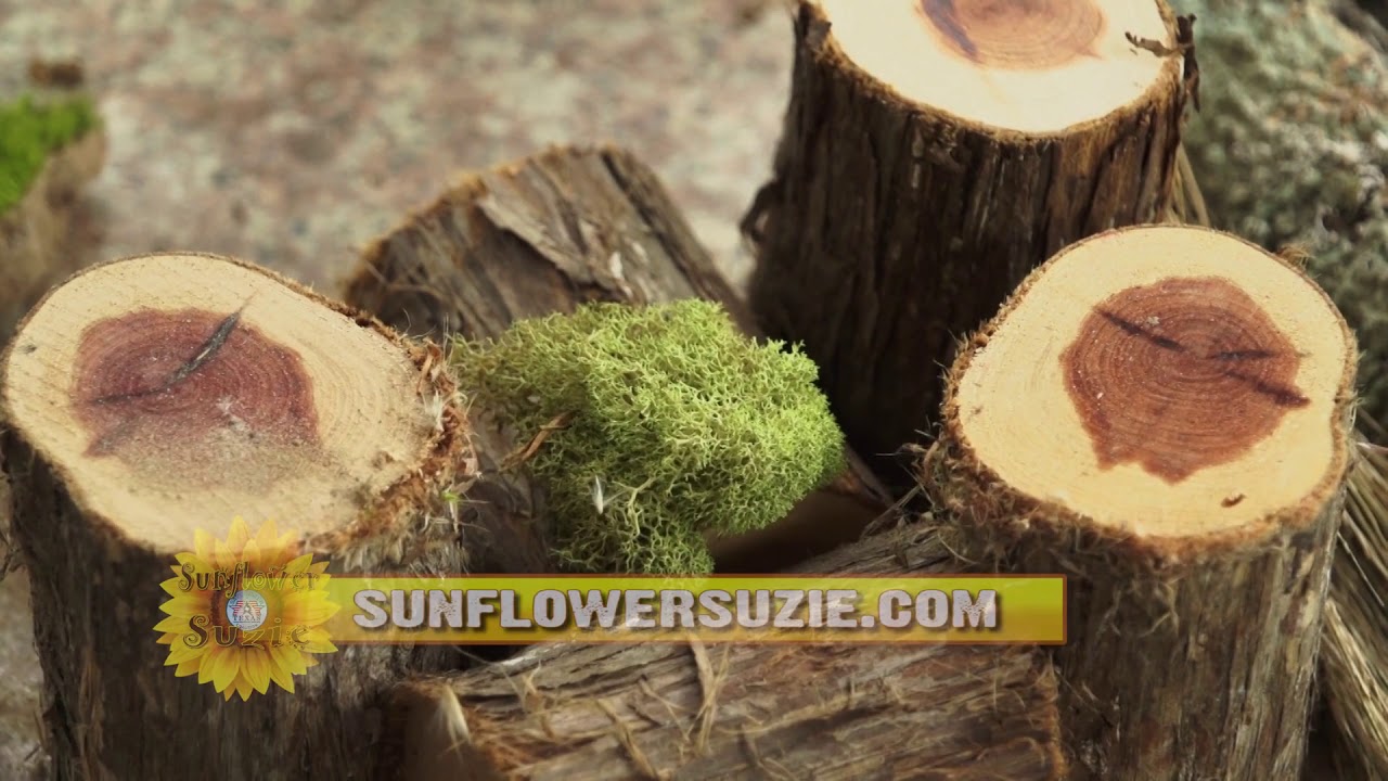 Building a Bug Condo   How to attract beneficial insects to your yard and garden