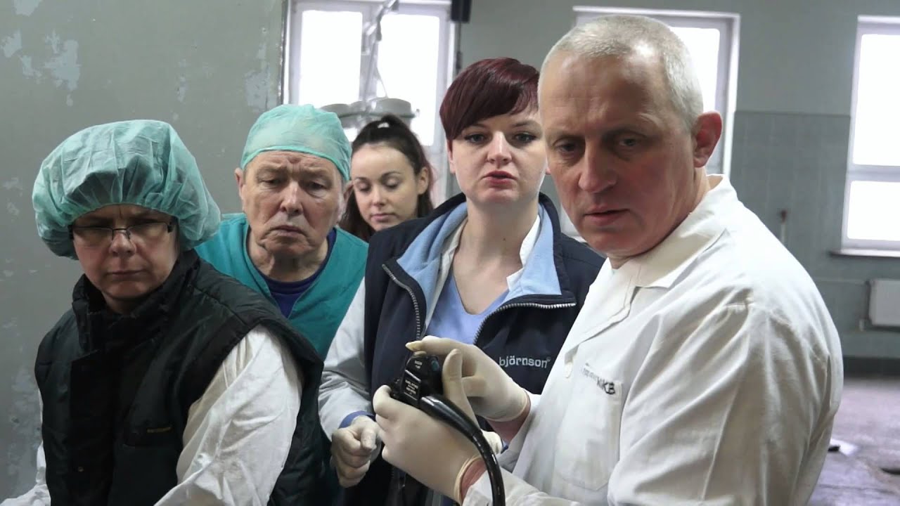 Faculty Of Veterinary Medicine, University of Life Sciences in Lublin