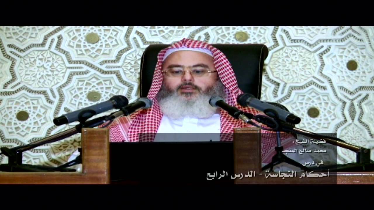 هل الكلب والخنزير نجسان أم لا ؟ المنجد
