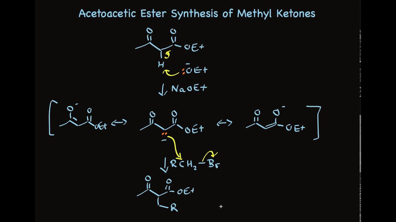 Acetoacetic Ester Synthesis of Methyl Ketones
