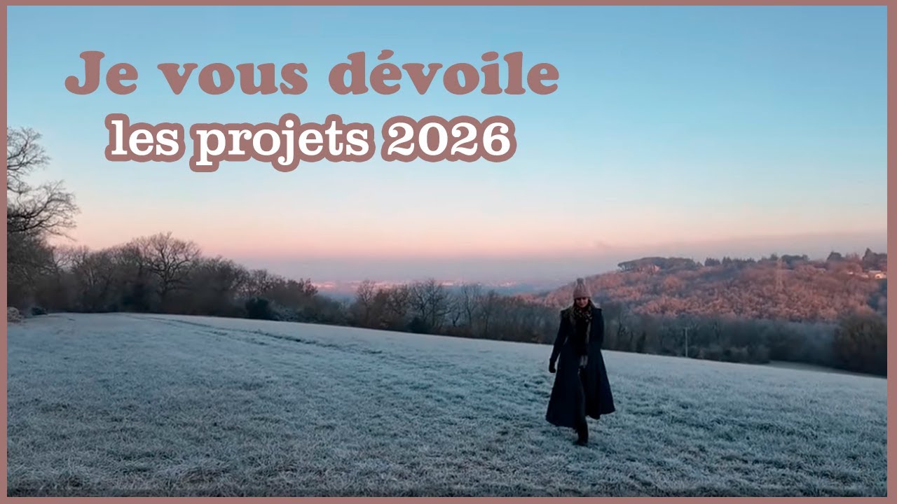 Tous les projets de l'année /studiovlog janvier 2026