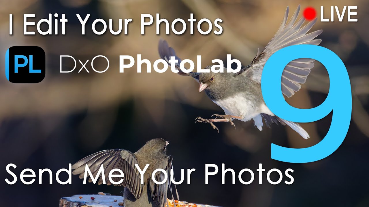 Photo editing LIVE with DxO Photolab 9.4 - Send me your photos!