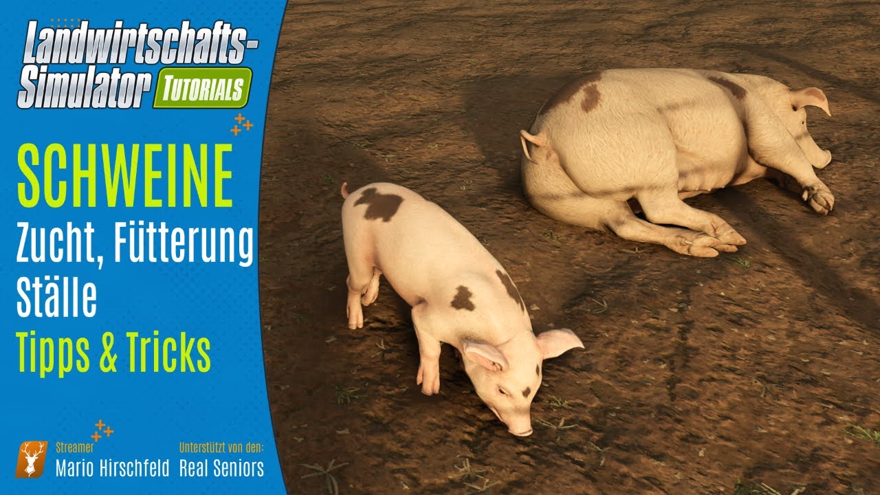 LS25 Schweinehaltung Tutorial: Alles über Ställe, Fütterung und Zucht