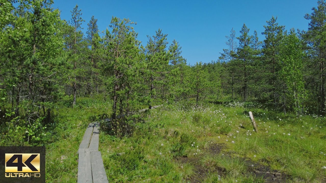【4K】Relaxing stroll in Slåttmossen Nature Reserve, Helsinki/Vantaa
