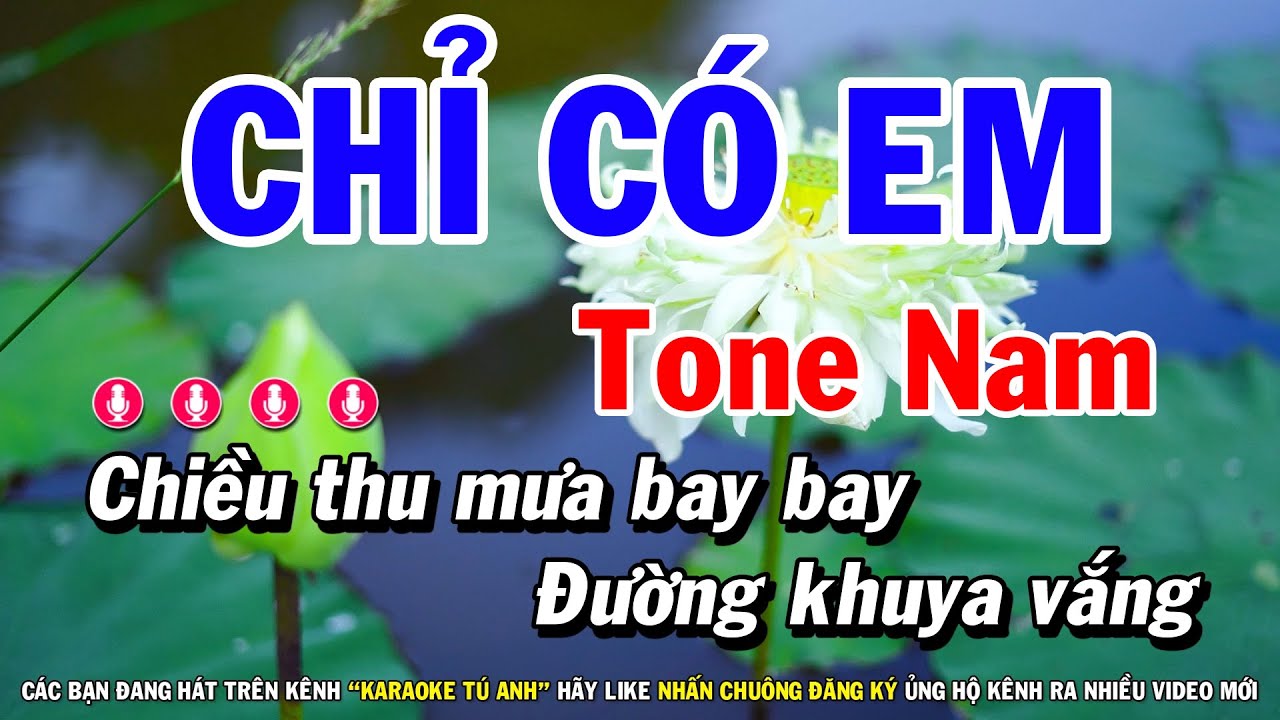 Karaoke Chỉ Có Em - Tone Nam | Nhạc Sống Cha Cha Tú Anh