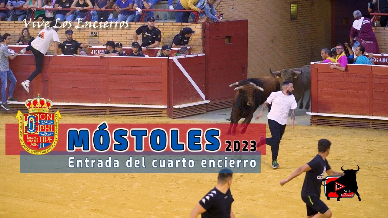 ENTRADA Y SUELTA DE RESES DEL CUARTO ENCIERRO #mostoles 2023