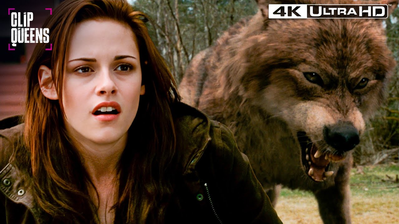 Jacob&rsquo;s Secret Destroys Bella (Full Scene) | Twilight: New Moon 4K