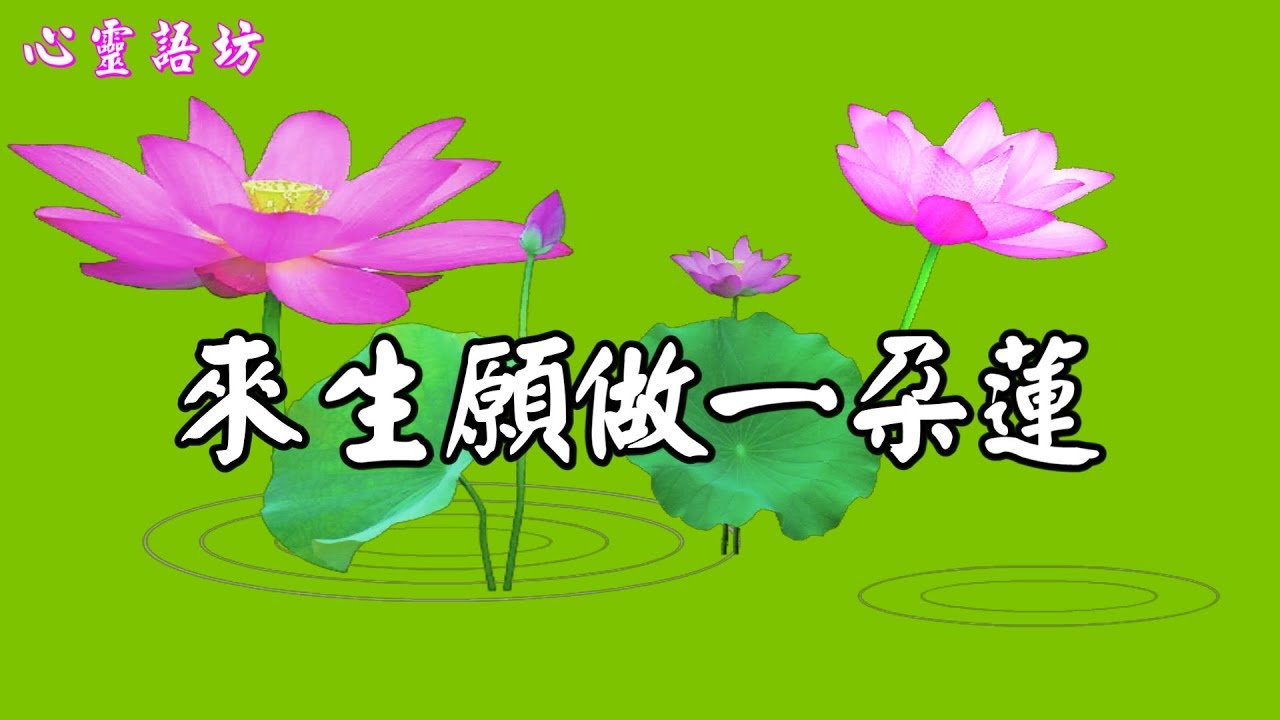 《來生願做一朵蓮》~與你再續三生緣........[前世今生緣]