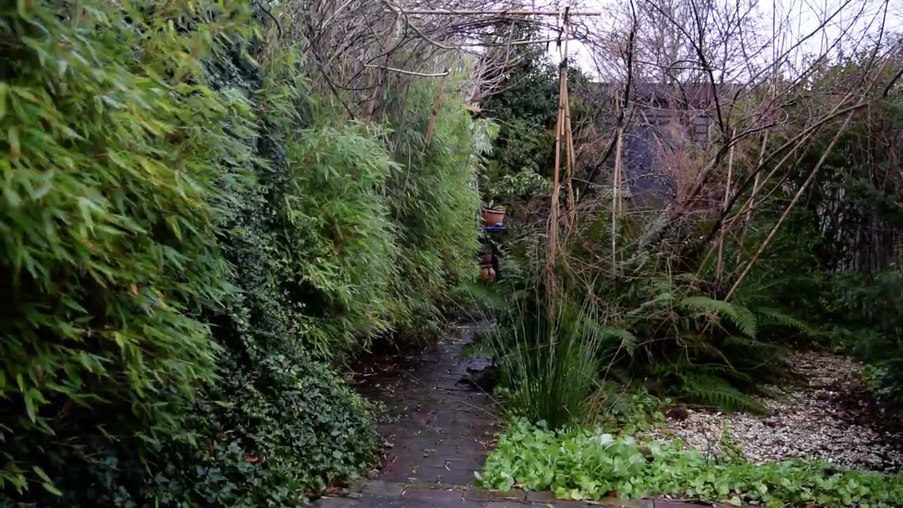 The boring Garden #069