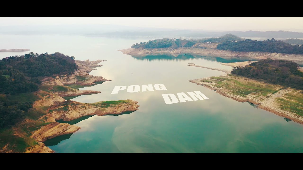 Pong Dam - Himachal's Secret Paradise | Cinematic Travel Film
