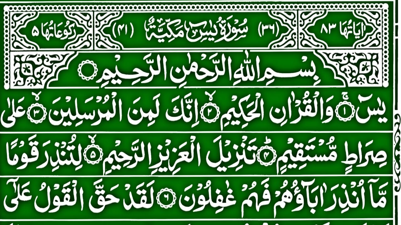 Surah Yaseen Surah Ar Rahman | Best Quran Recitation | Surah Yasin Tilawat | Episode_041