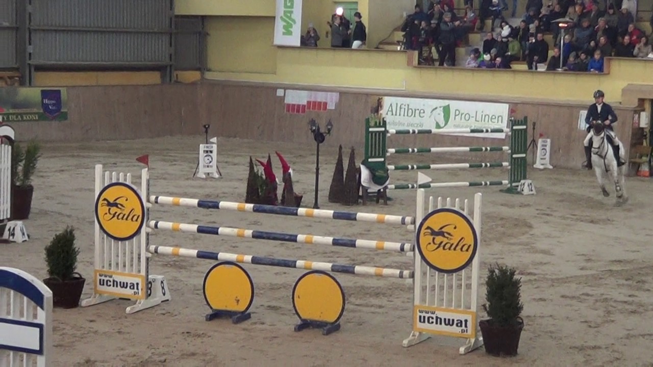 Damian Ostręga & Christopher's Darling, Grand Prix Wago CSN
