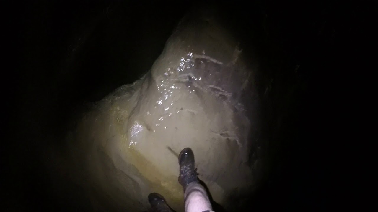 Al Hoota Cave, Oman