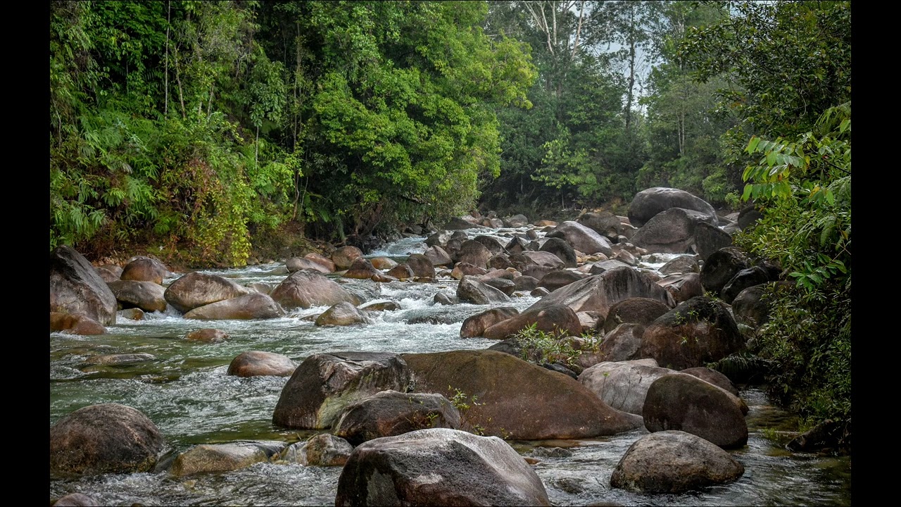 🌊 15 Minute Gentle River Sounds | Relaxing Water Flow for Deep Sleep, Meditation & Calm Mind