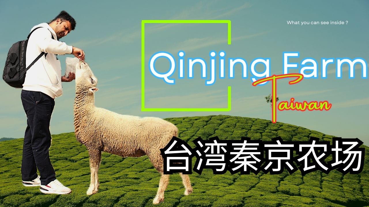 Qingjing Farm Taiwan 🇹🇼 | Sheep Show, Green Hills & Best Mountain Views | 清境農場 Travel Vlog