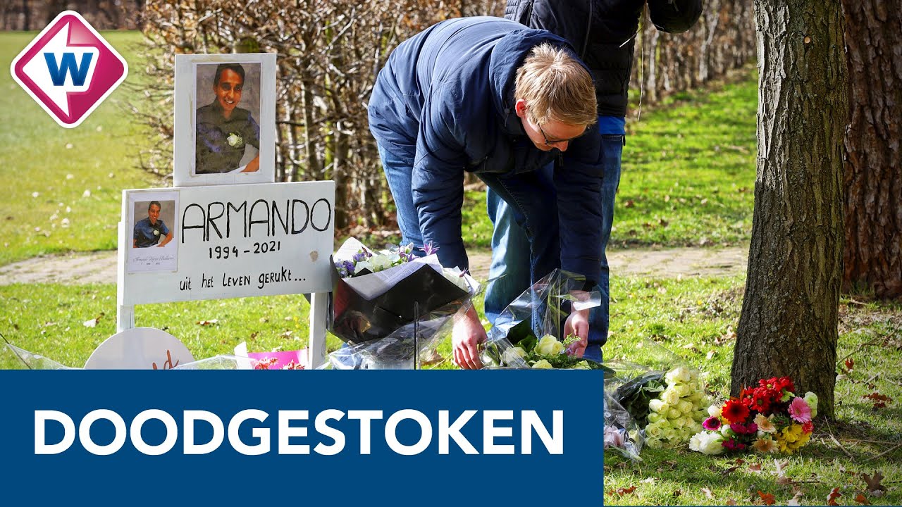 Familie doodgestoken Armando: 'Hoe kan het hem overkomen?' - OMROEP WEST