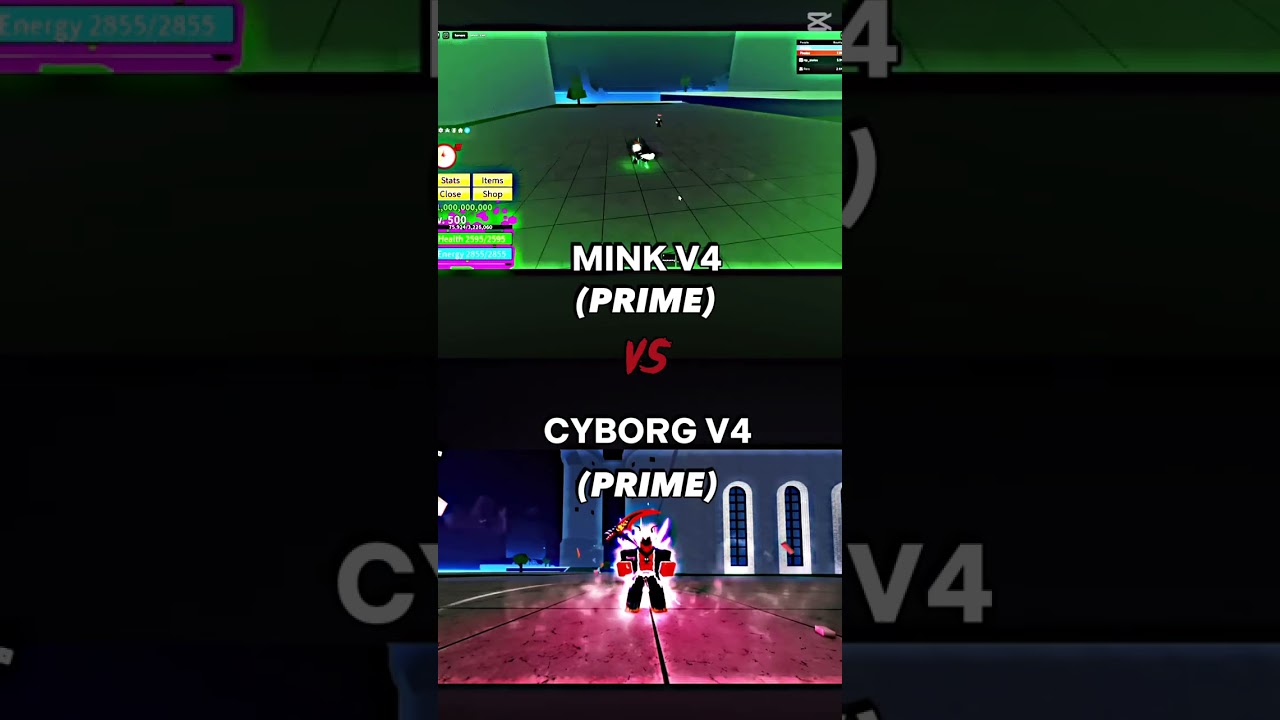Mink v4 (prime) vs Cyborg v4 (prime)🔥🔥 #shorts #roblox #edit #bloxfruits #cyborg #rabbit