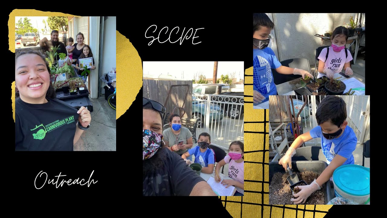 SCCPE 2020-2021 Highlights