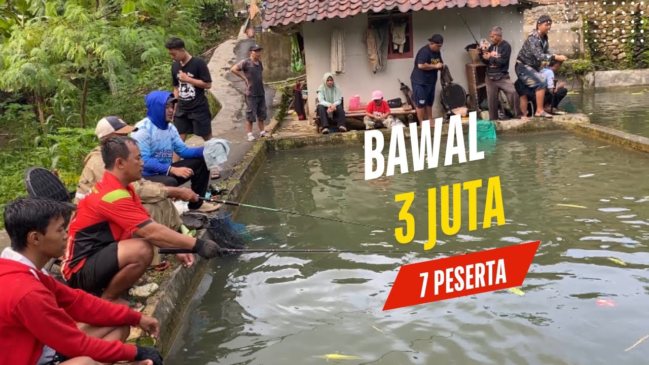 Korang Sampai Pada Penuh ‼️ Sepertinya Kita Untung Banyak Nih Mancing Borongan Ikan Bawal