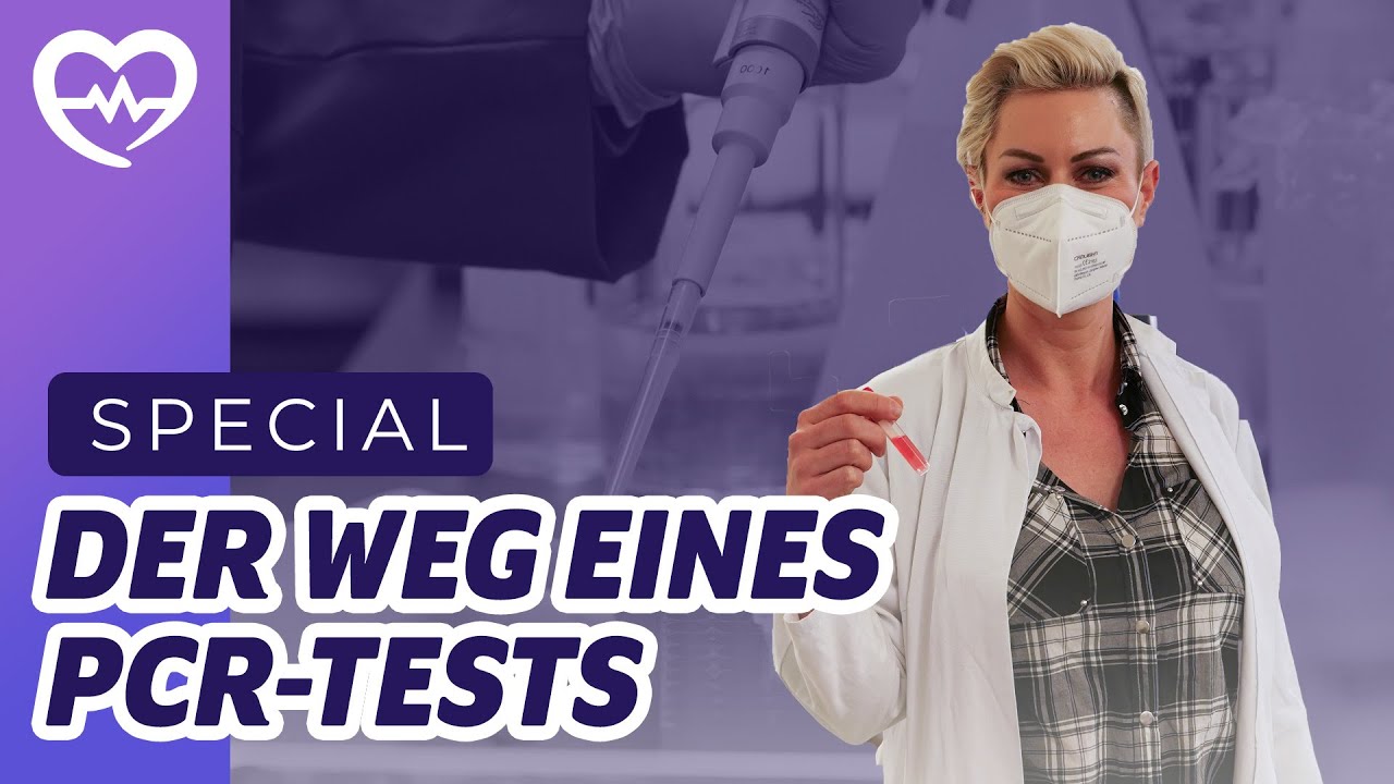 SPECIAL I BLICK HINTER DIE KULISSEN EINES PCR-LABORS I