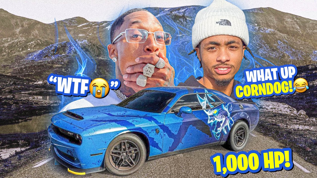 Этот демон-адский кот просто с ума сходит! Стоит ли мне его покупать? 🔥💰