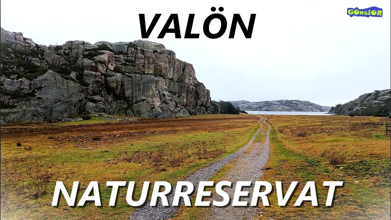 VAL&Ouml;N NATURRESERVAT , SVENNEBY , TANUM , GERLESBORG , V&Auml;STRA G&Ouml;TALAND , SZWECJA 22.01.2025