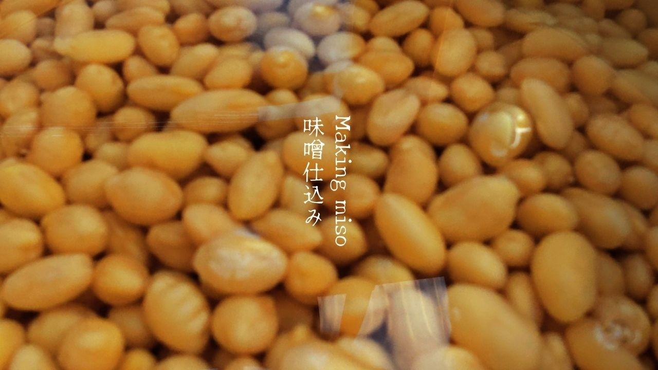 古い瓶、はじめての味噌仕込み[古民家での暮らしについて]