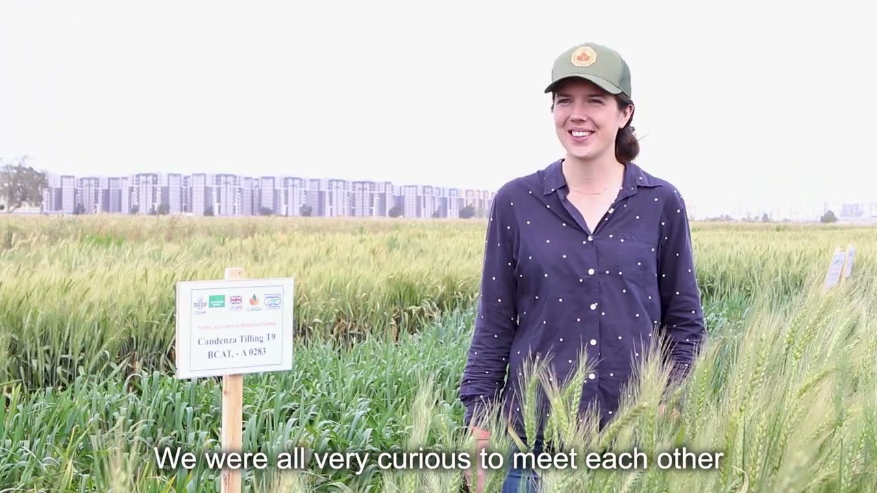 UK CGIAR Centre Conversations: Q&A with Anna Backhaus