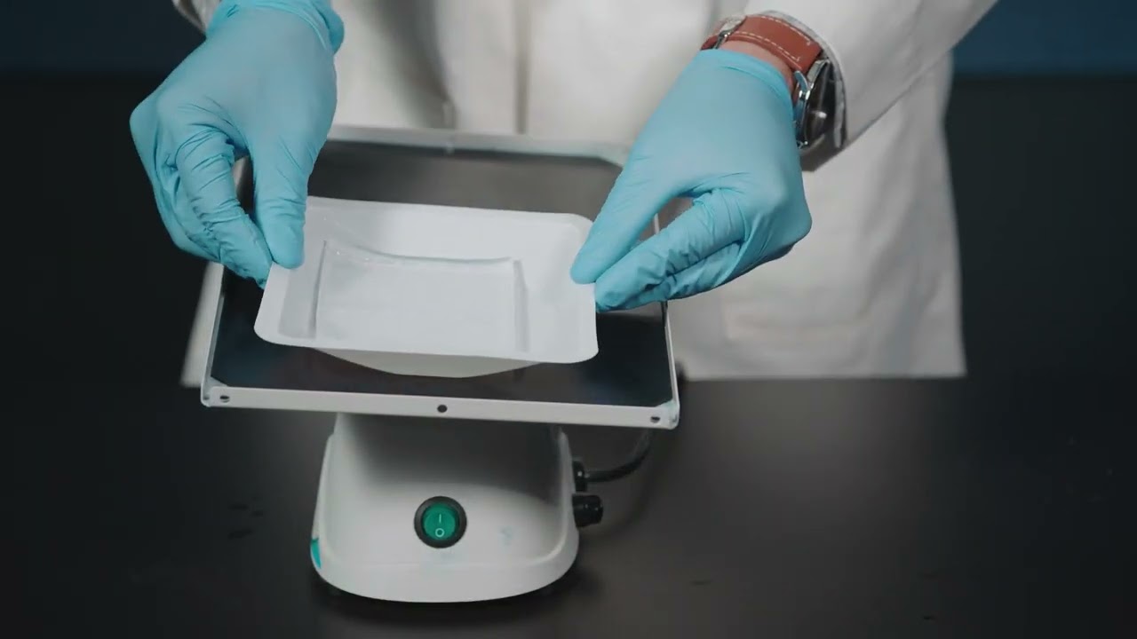 Staining and Destaining a Gel with CarolinaBLU™