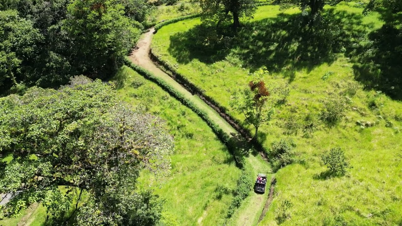 Reserva Curi-Cancha, Costa Rica 0035