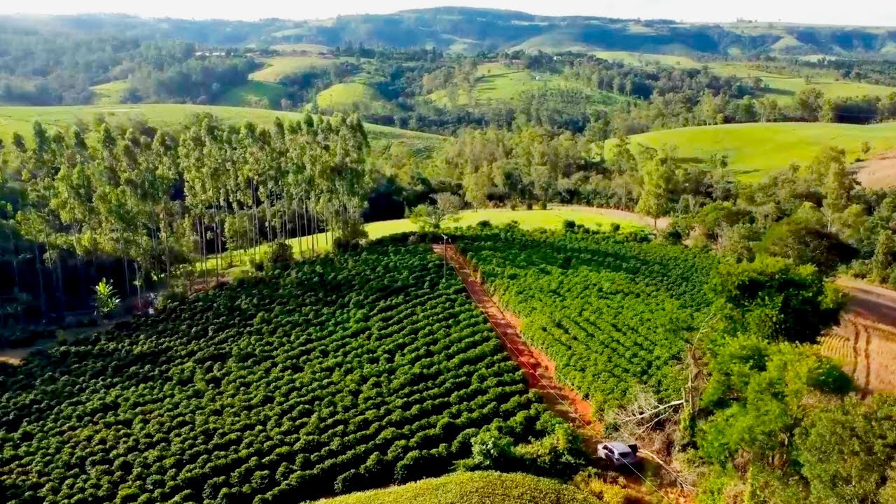 CHÁCARA COM CAFEZAL TERRA VERMELHA ÁGUA BOA