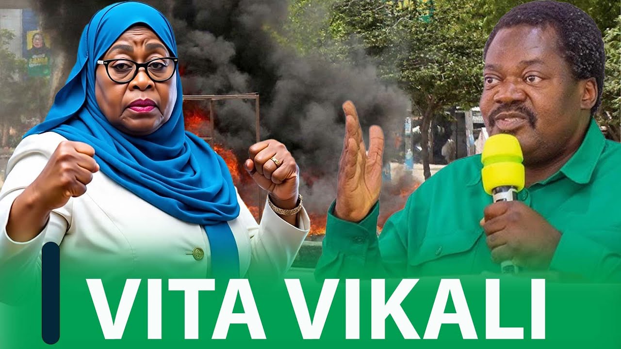 Vita Vimelipuka Tena, Suluhu na Nchimbi wapigana vibaya Ikulu 