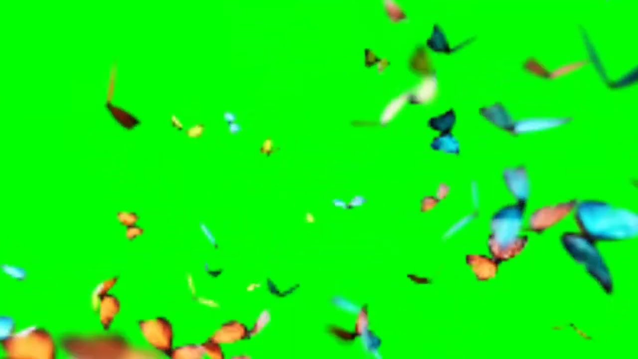 Capcut Butterfly Effect Green screen | Editing overlay