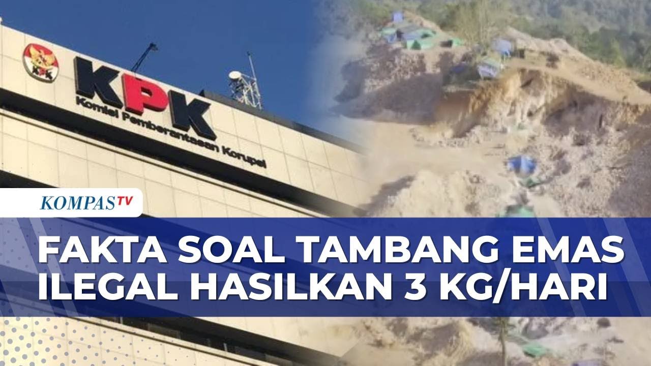 Fakta di Balik Tambang Emas Ilegal Hasilkan 3 KG/Hari: Jauh dari Mandalika, Sudah Disegel KPK?