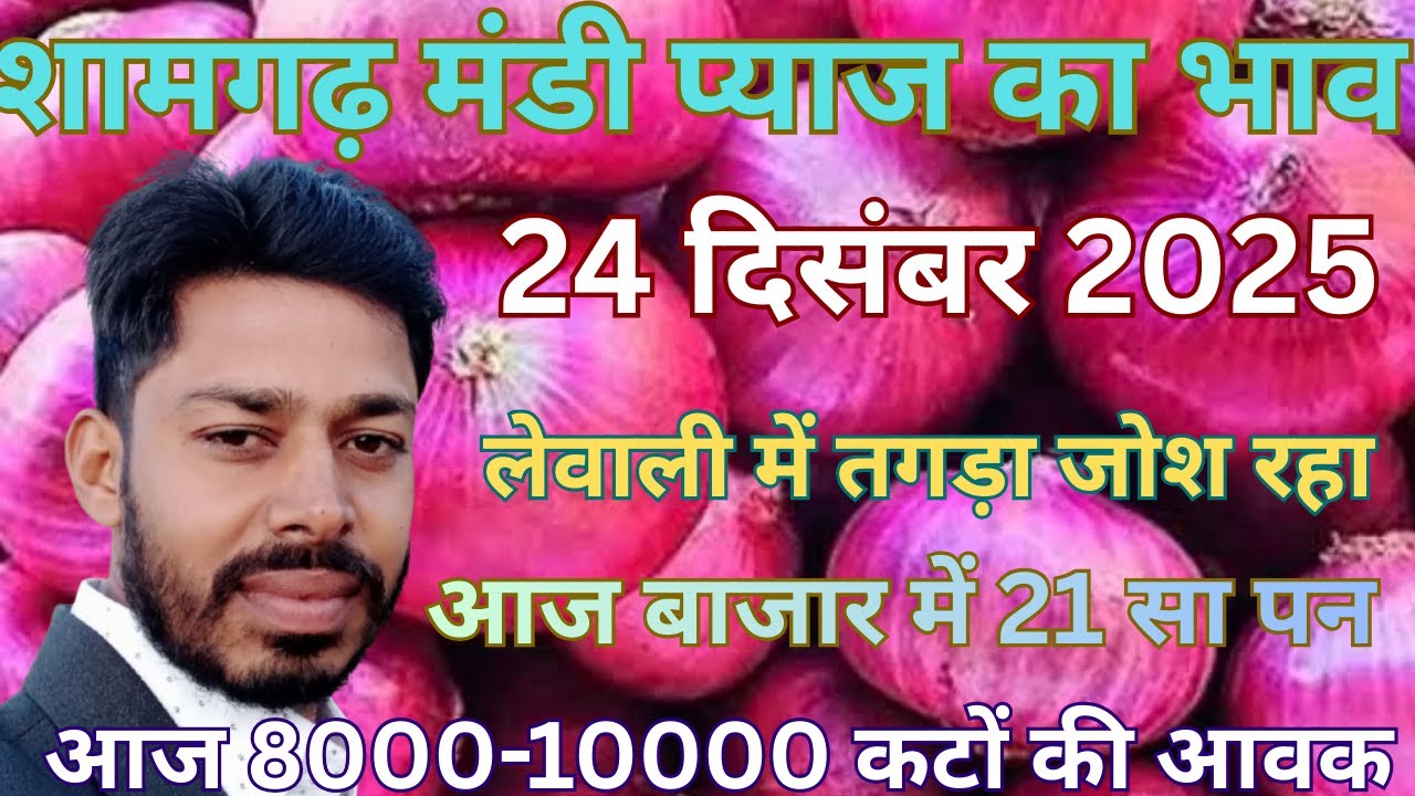 आज का ताज़ा भाव 24 दिसंबर 2025 || Shamgarh mandi pyaz ka bhav 